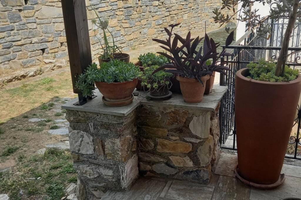 Miléai Pelion Cottage מראה חיצוני תמונה