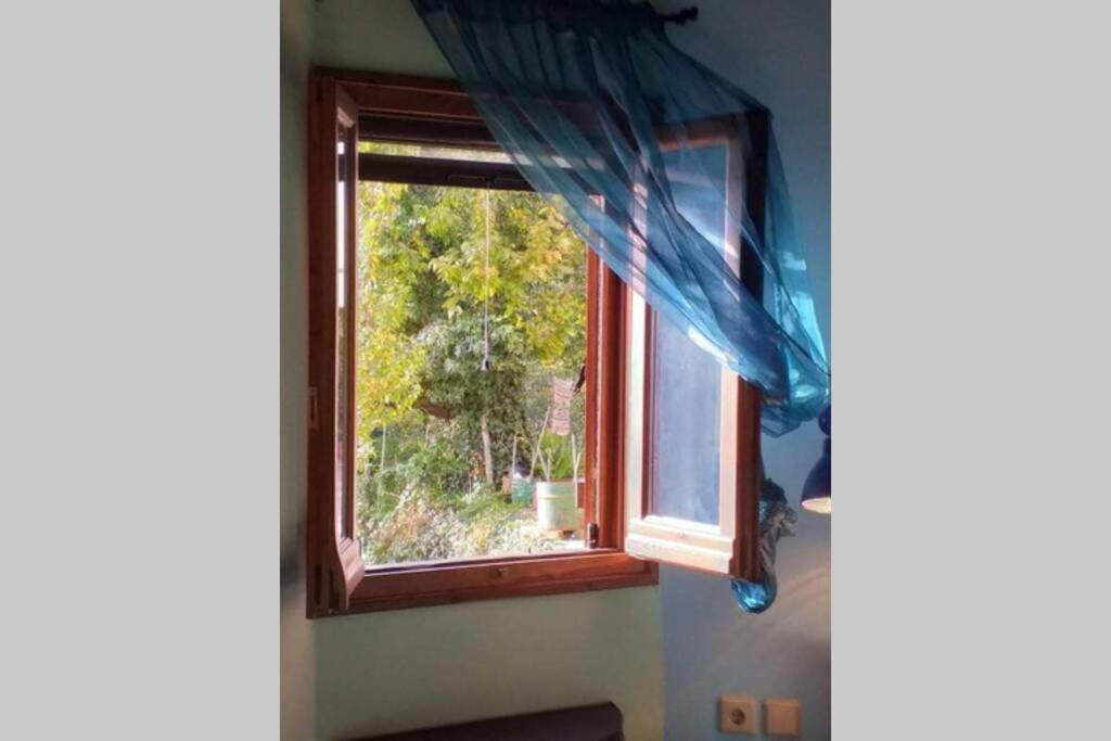 Miléai Pelion Cottage מראה חיצוני תמונה